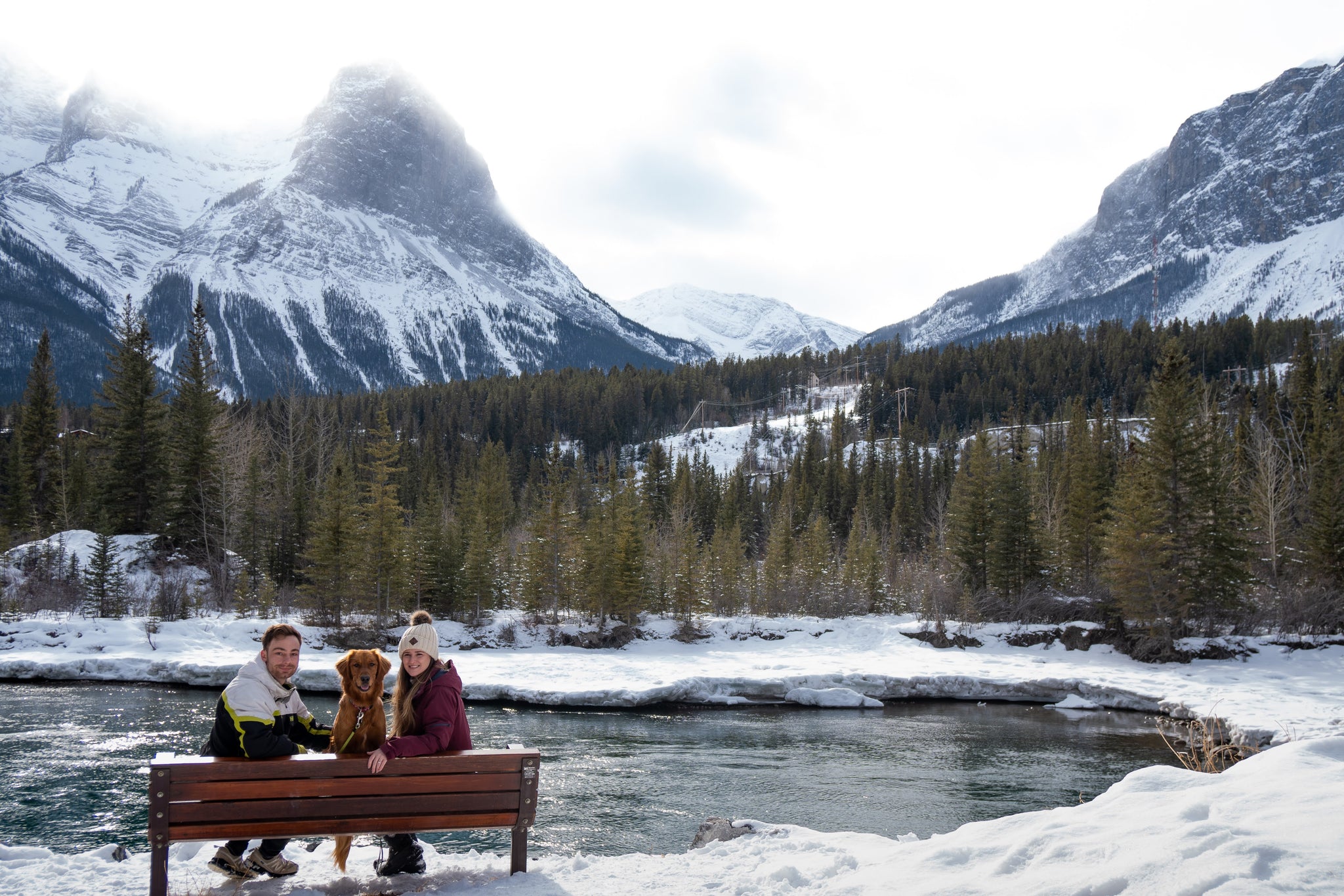Canmore Canine's owners and their dog sat on park bench in front of beautiful snow capped mountain backdrop. Image used as part of a we care promotion provoking thoughts of happiness and well being. The image also introduces Medical Detection Dogs Charity