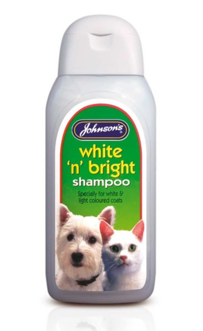Dog Shampoo / Cleaning