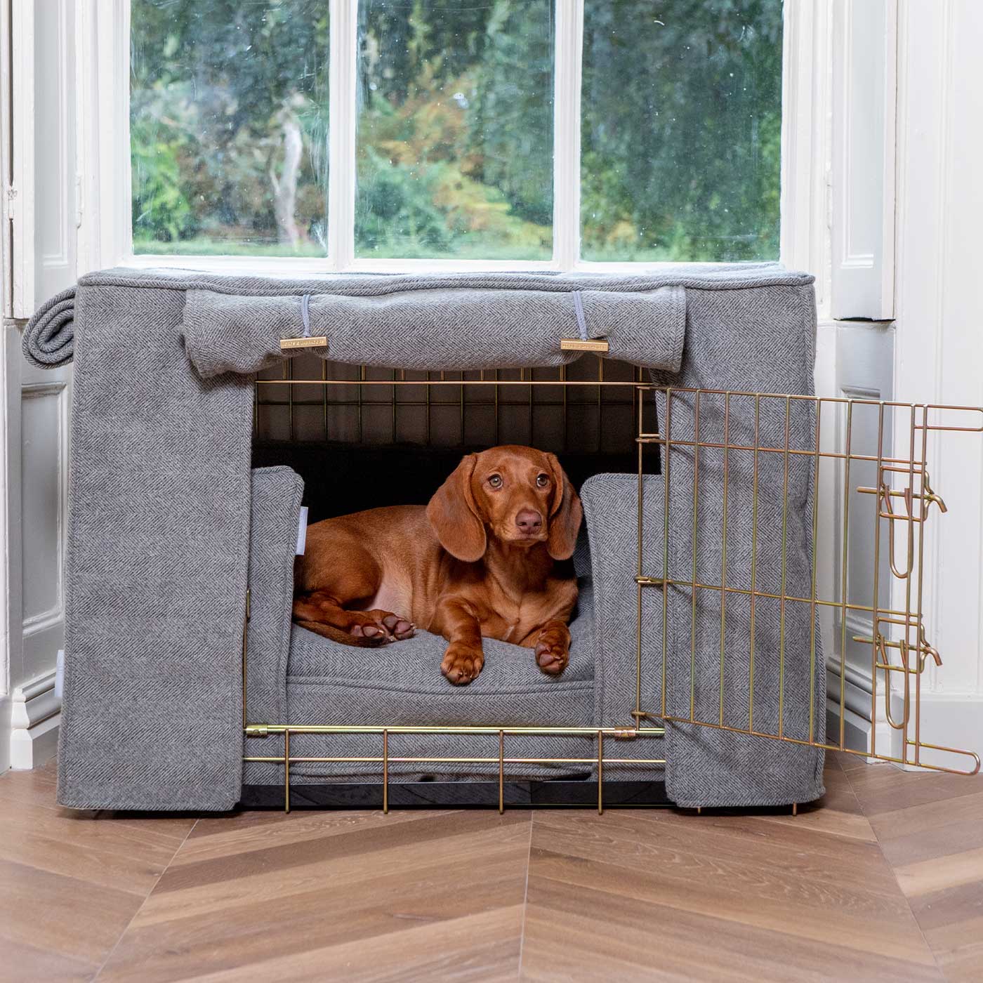 small brown dog sitting in a lords and labradors dog crate with gold cage