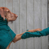 dog with person using the dog drying mitts by ruff and tumble