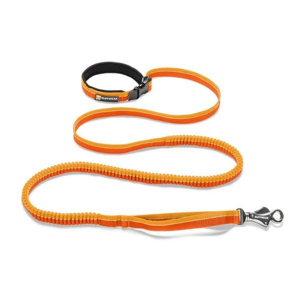 Orange Roamer Bungee Dog leash.