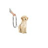 The CoA Recall training leash on a dog