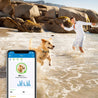 The smart phone application for the Tractive GPS Tracker superimposed on a picture of a dog wearing the Tracker in the sea.