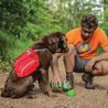 A brown dog wearing a red  lightweight, tough, custom-fit pack fully adjustable Baxter dog backpack