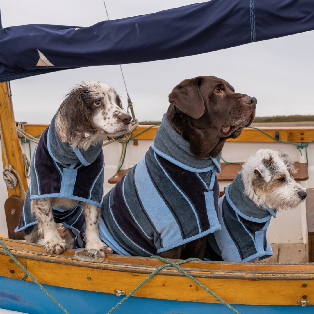 Ruff & Tumble Drying Coat in Harbour shown on three different dog breeds on a boat.. 