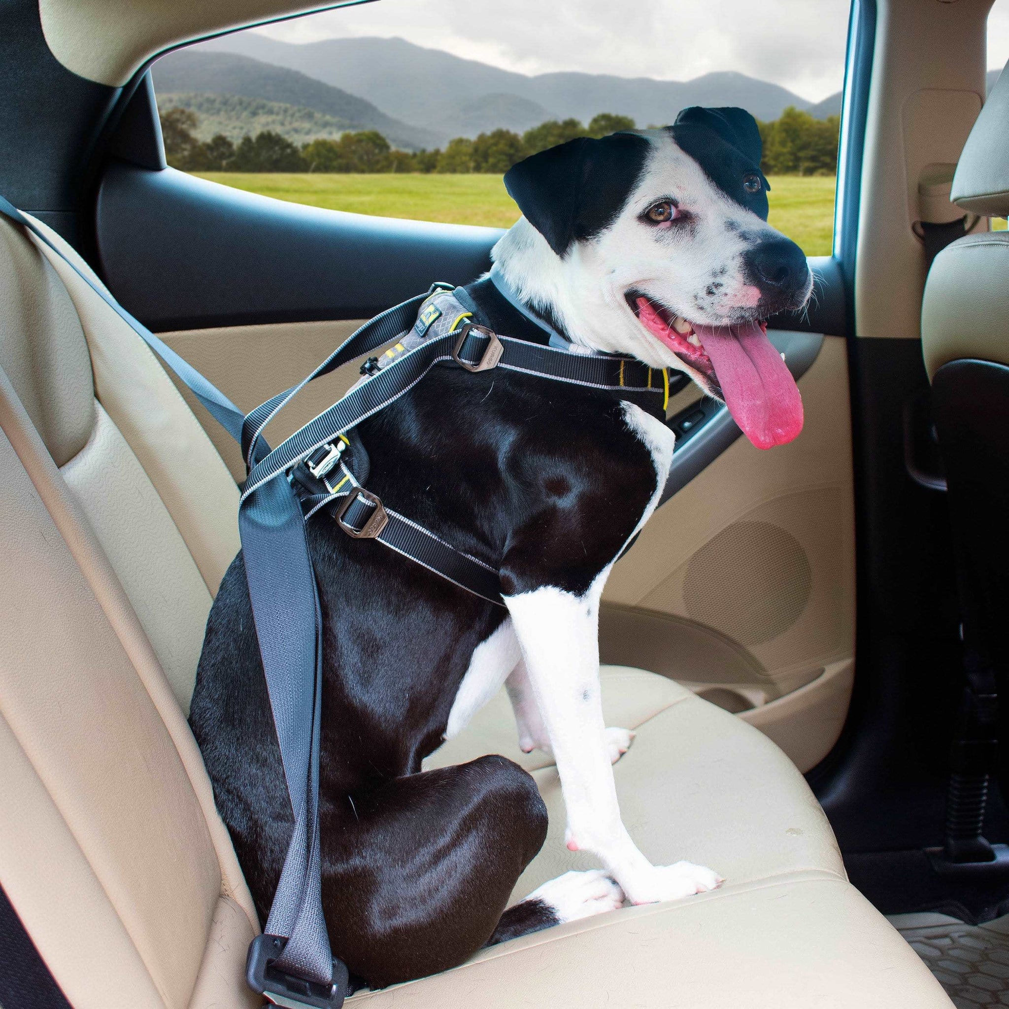 A useful side view of the Dog car travel safety harness 4 point adjustment system that integrates into your vehicle’s seatbelt system.