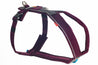 Close up rear view picture of the purple version of the Line Harness