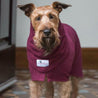 Front view of a dog wearing a burgundy Dogrobe sdog drying coat