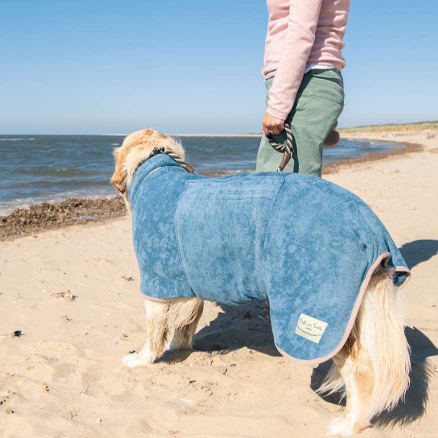 Large blonde dog wearing ruff and tumble dog drying coat sold by canmore canines