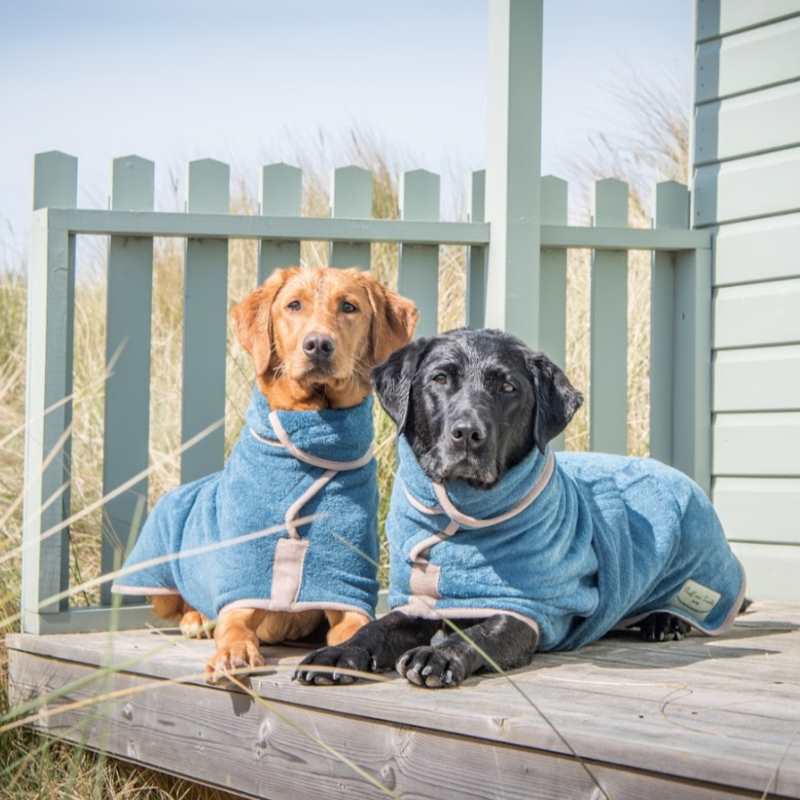 Two dogs laying down outside on decking wearing ruff and tumble classic drying coat in blue
