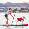 Girl on paddleboard with her dog wearing the Kurgo Surf n Turf Life Jacket