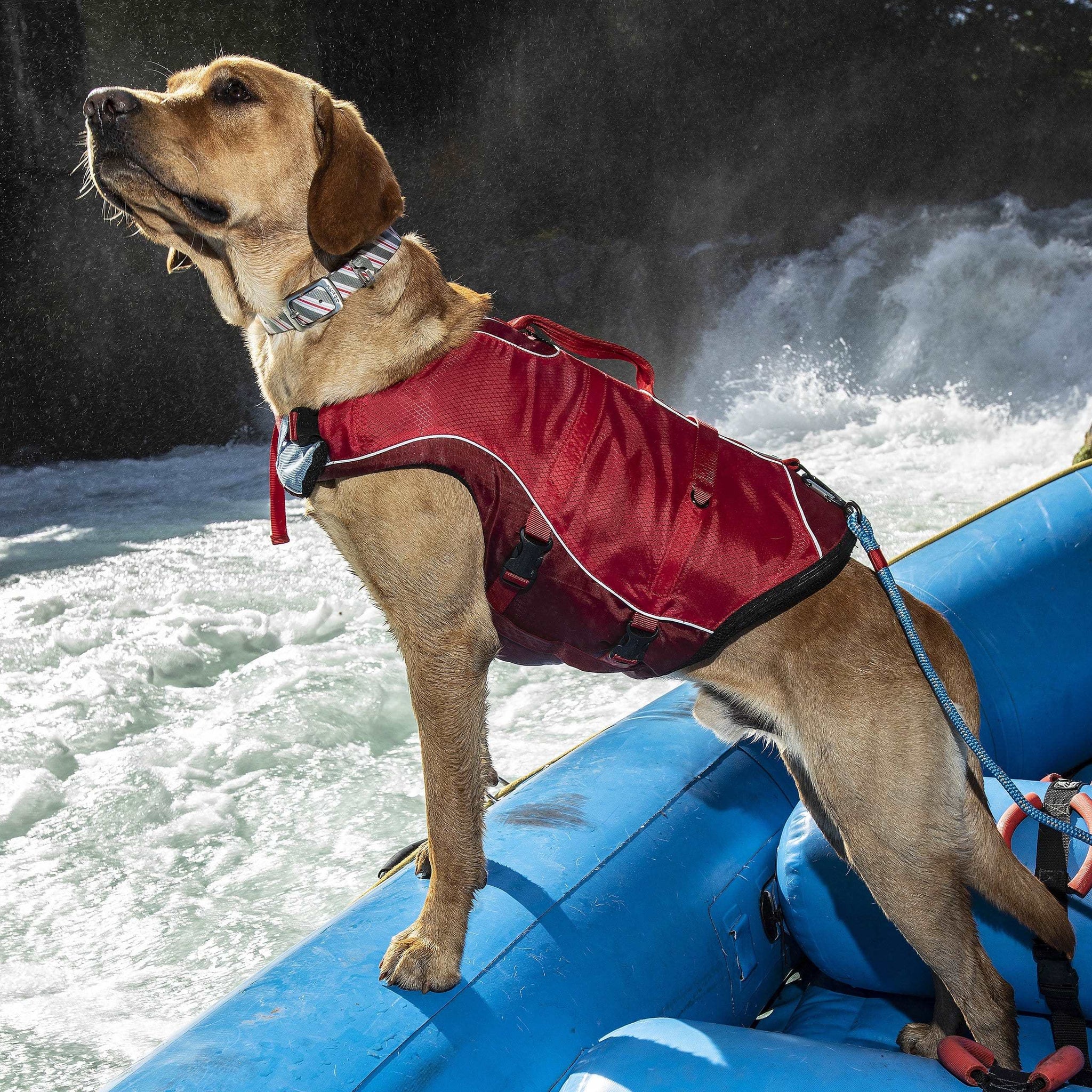 Dog wearing the red Kurgo Life Jacket standing in a dinghy