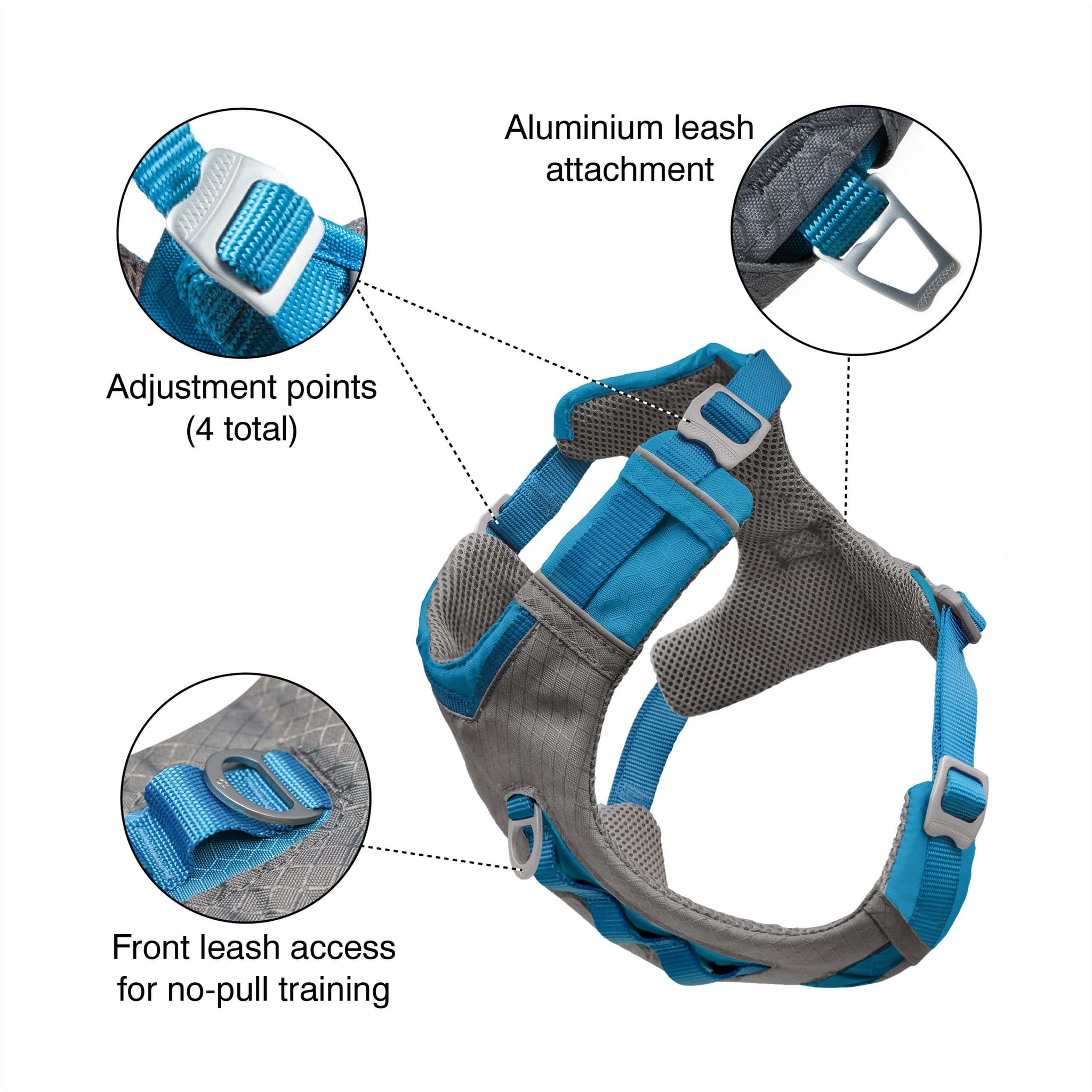 Front and rear leash attachment and adjustment points