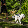 Running with your dog using the Non-stop Dogwear Freemotion Harness