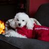 A great picture of a white dog wearing a red, personalised Dogrobes dog drying coat
