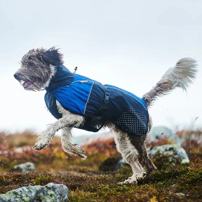 Non-stop Dogwear - Beta Pro Rain Jacket