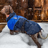 A blue Beta Pro Rain Jacket from Non-stop Dogwear being worn in the snow.