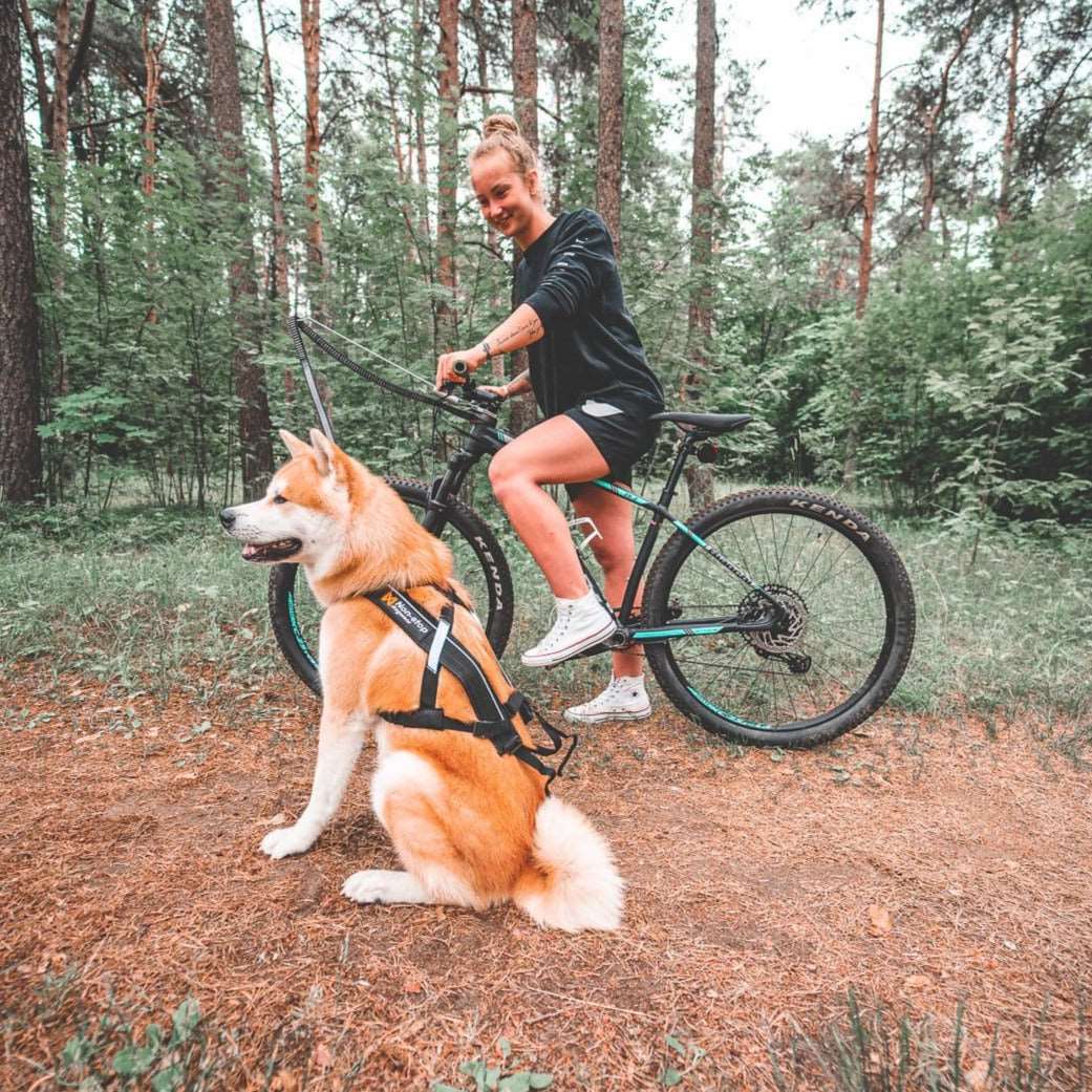 Husky dog with girl on bike using bike antenna