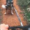 A dog pulling a cyclist using the Non-stop Dogwear Bike Antenna .
