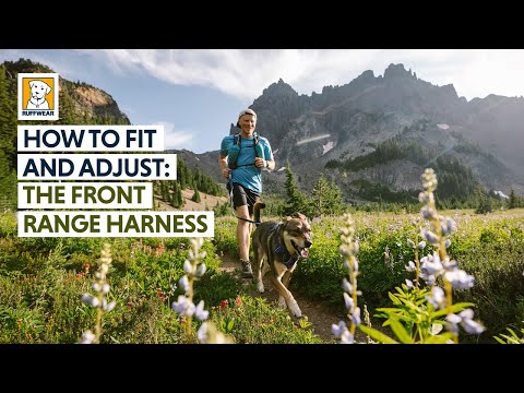 Video showing the fitting and adjustment of the Ruffwear Front Range harness