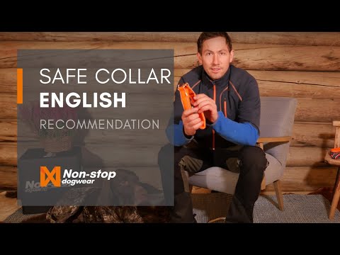 Non-stop Dogwear Video of the Safe Collar