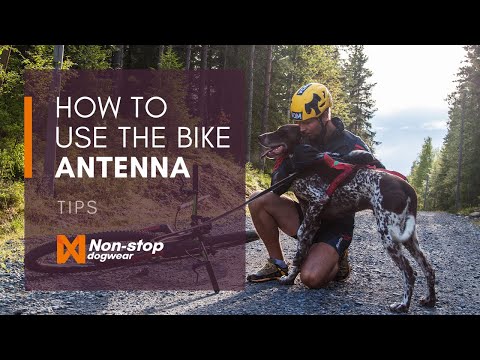 A video showing how to use the Non-stop Dogwear Bike Antenna