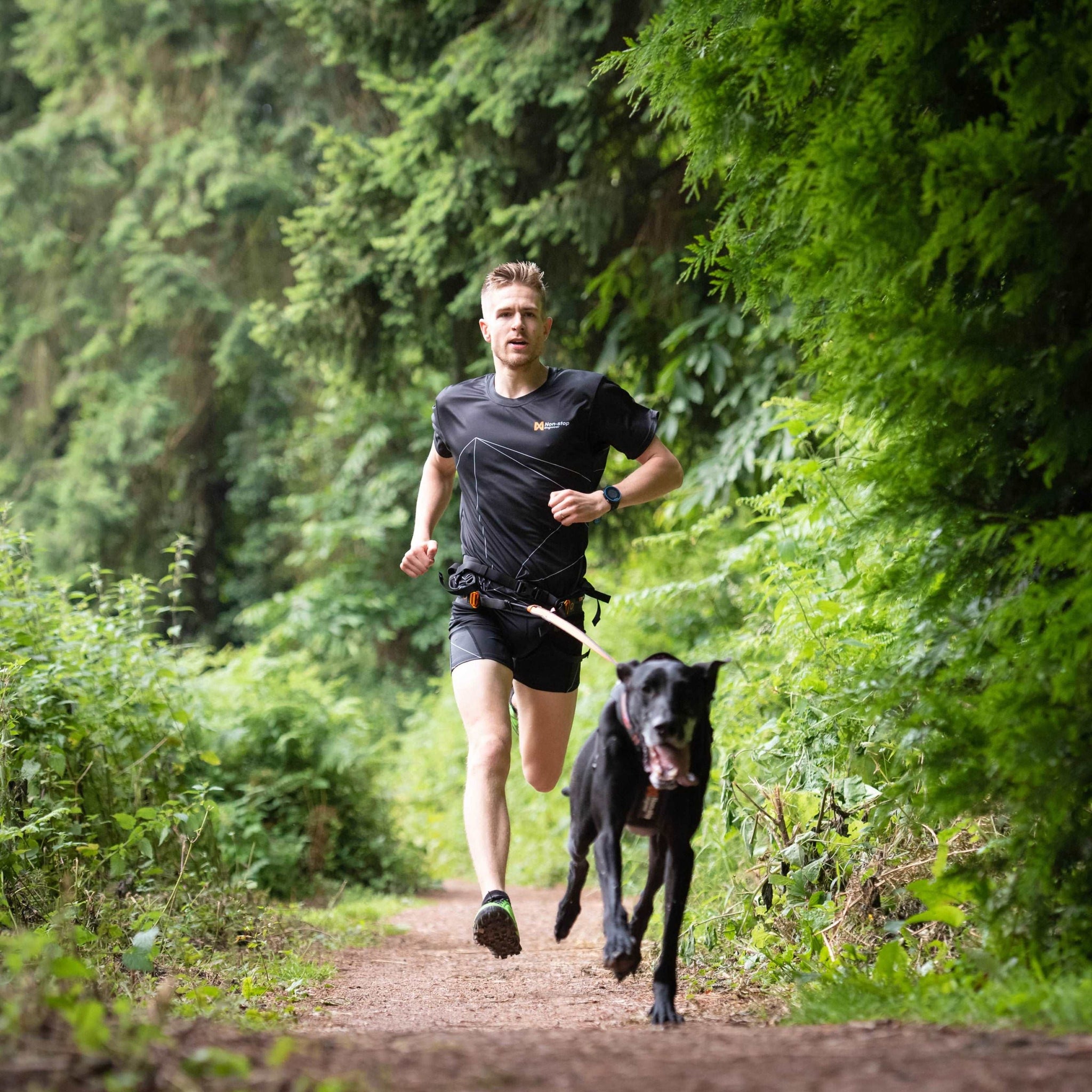 Non-stop Dogwear Canix Belt being used for running with your dog