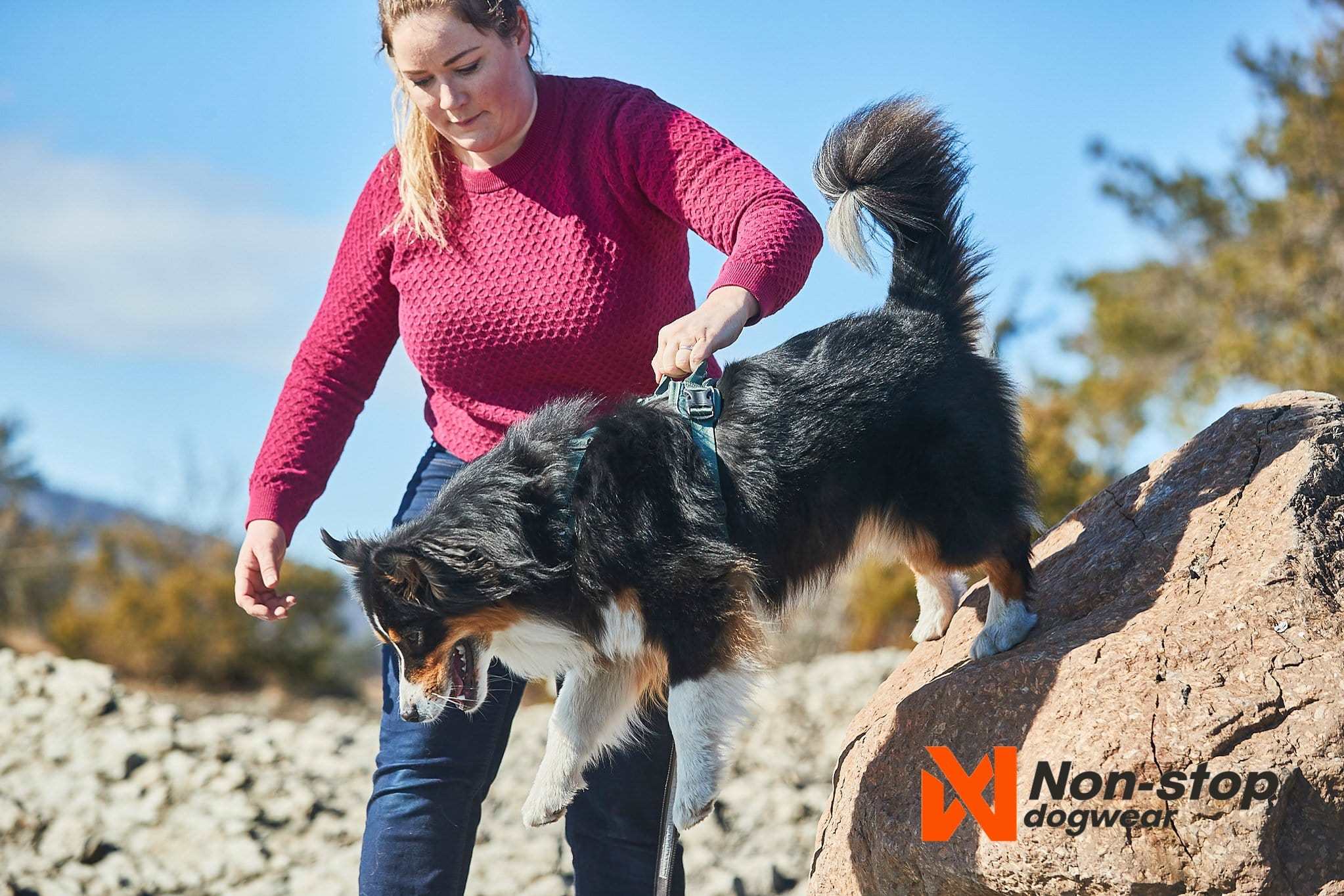 Woman holding handle on Ramble harness of dog to help her down from a rock