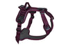 Purple NSD Ramble Harness